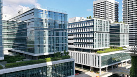 誠信推薦-谷朊粉廠家-范縣黃河實業(yè)有限公司